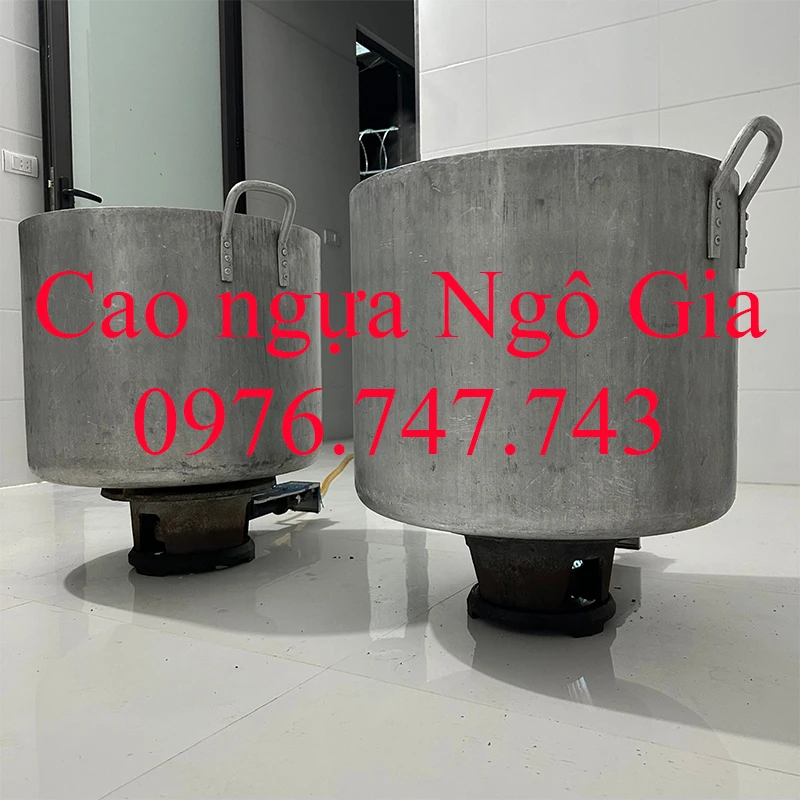 Cách nấu cao ngựa